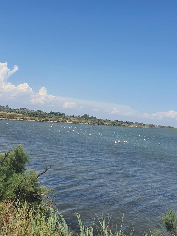 Vacances En Camargue Le Grau-du-Roi Εξωτερικό φωτογραφία